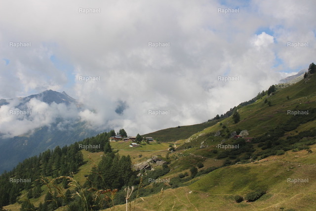 IMG_2317 | Raphael - Realisiert mit Pictrs.com