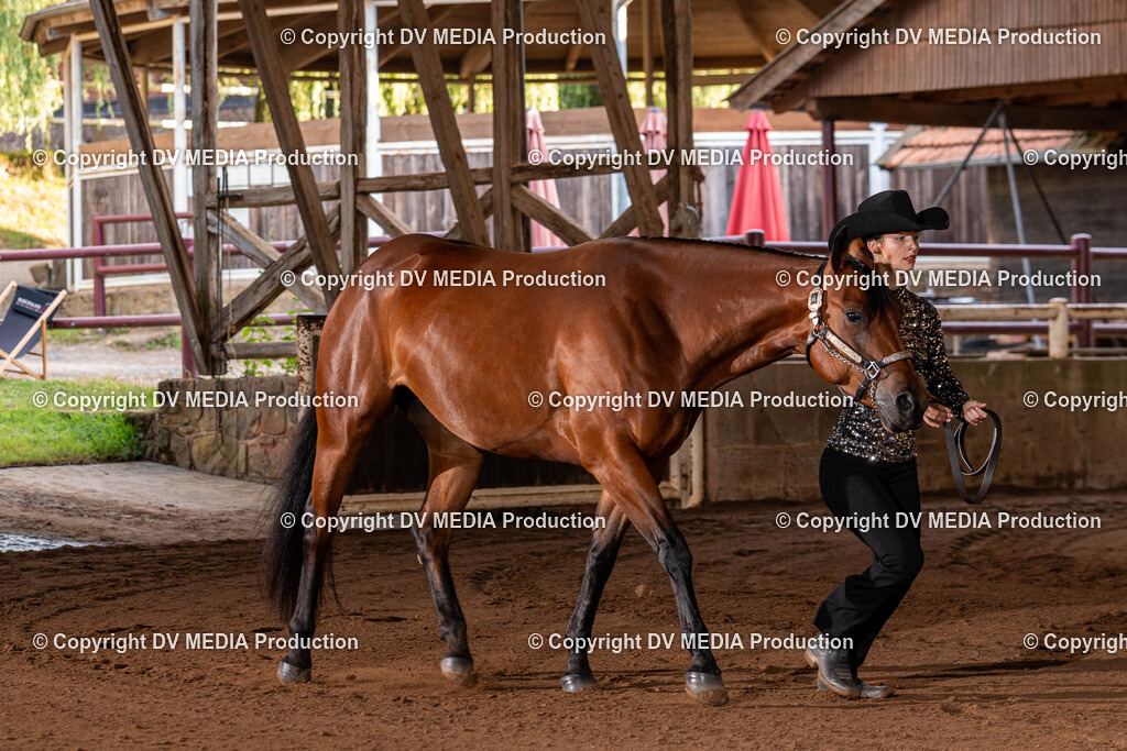 Erbach Tag 3-64 | dv-media-shop - Realisiert mit Pictrs.com