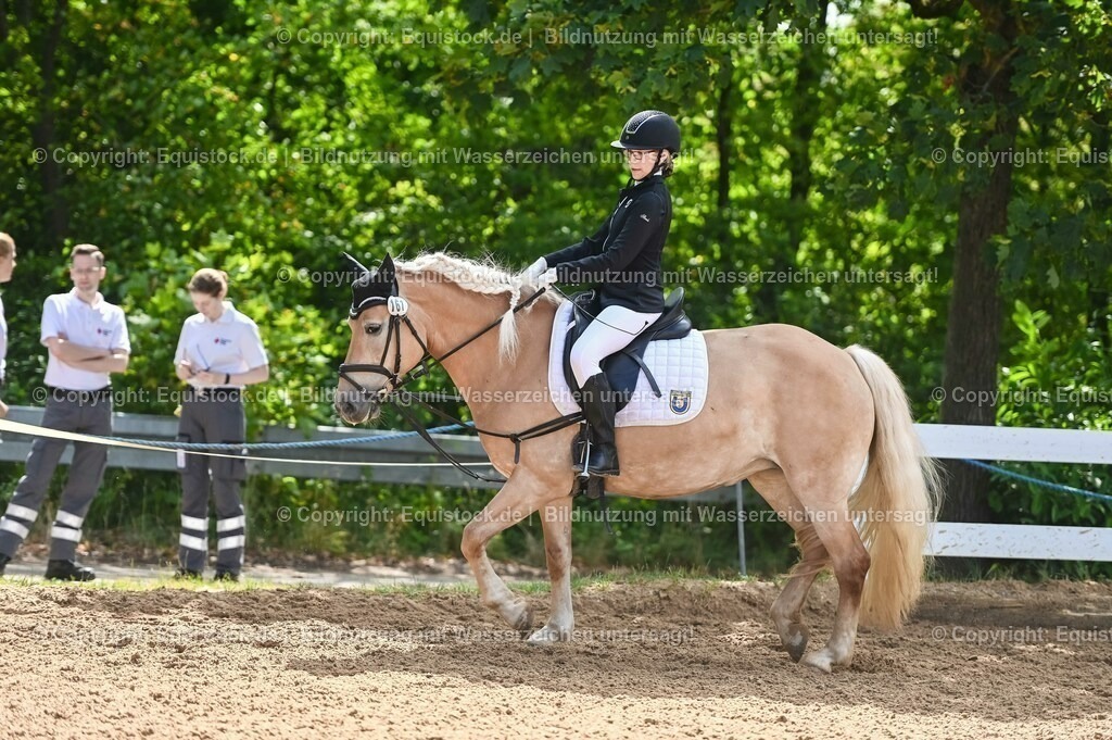 20230716_10-3_Reiter-WB Schritt - Trab - Galopp_0083 | equistock