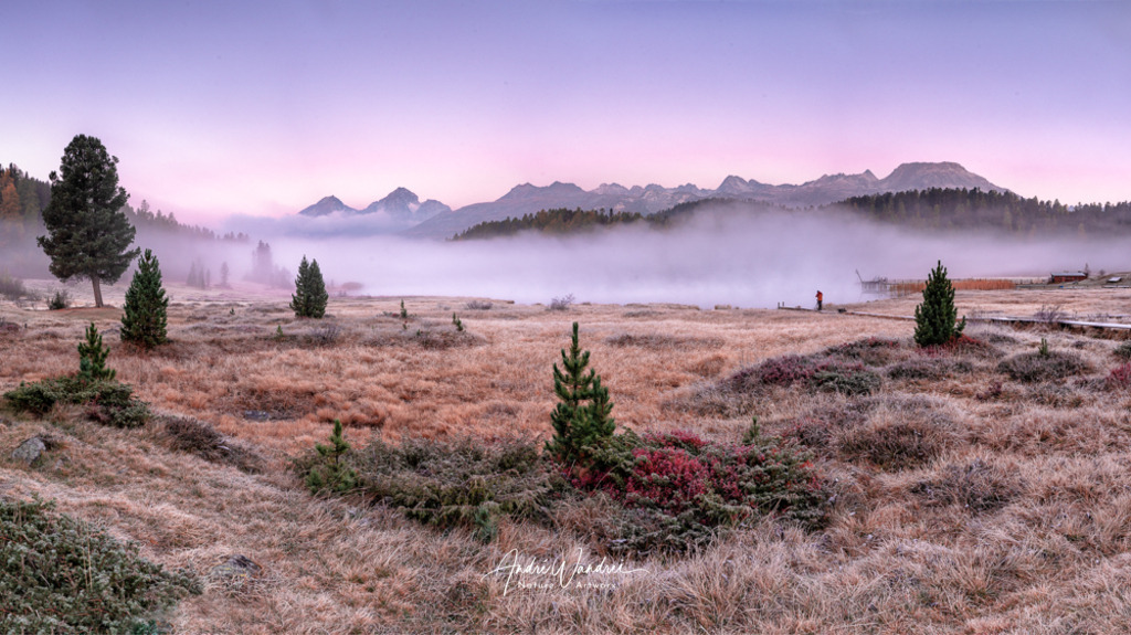 Morgennebel | Andre Wandrei - Nature Artworx - Realisiert mit Pictrs.com