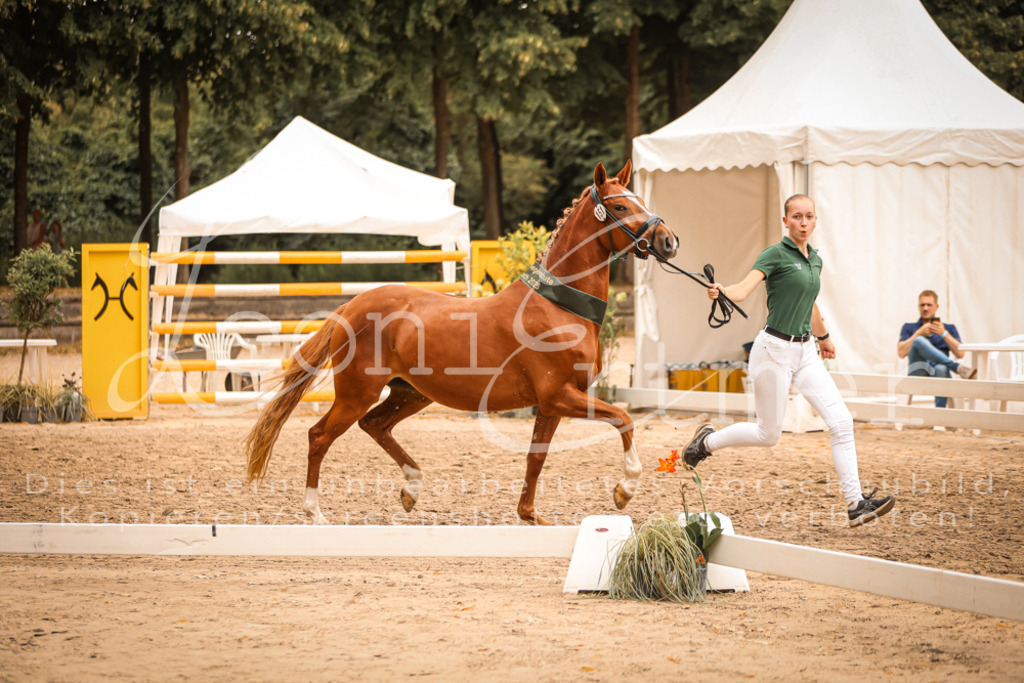 07.So00132 | Leoni Ertmer Photography - Realisiert mit Pictrs.com