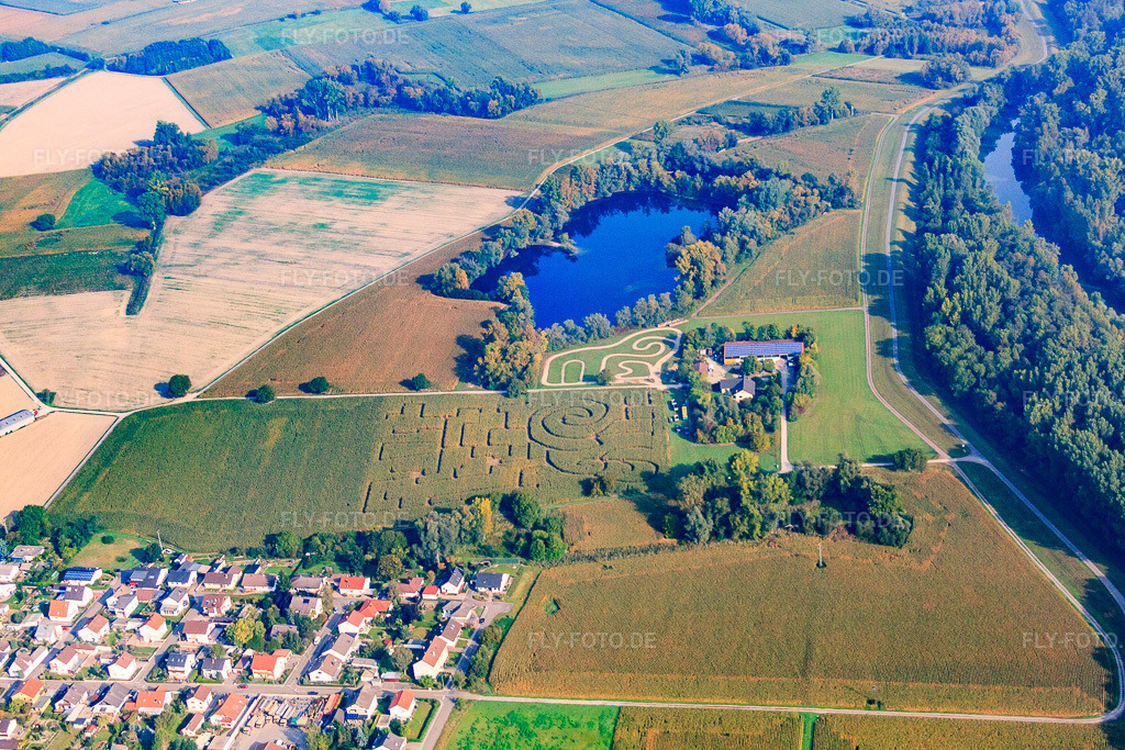 Luftbild: Maislabyrinth Seehof in Leimersheim im Bundesland Rheinland-Pfalz in Deutschland. Foto: IMG_45481-1519.jpg vom 25.09.2011 durch Werner Riehm/FLY-FOTO.de