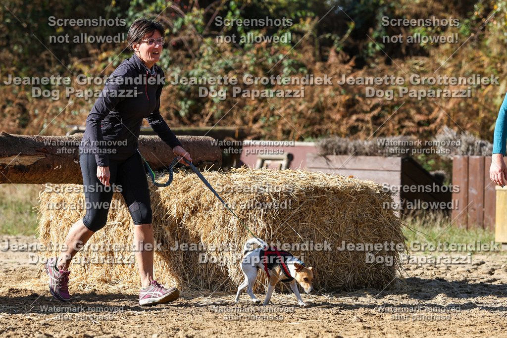 Dog Paparazzi - Strongdog 10-25-4685 | Dog Paparazzi Jeanette Grottendiek Fotografie & Videografie - Realisiert mit Pictrs.com