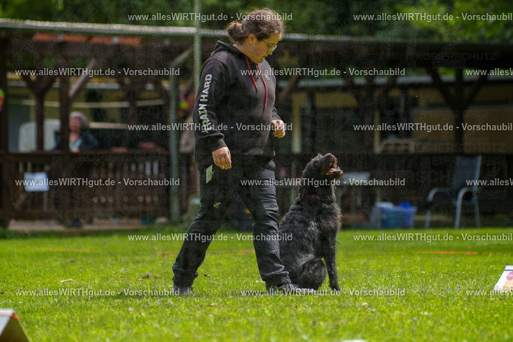 @allesWIRTHgut_Tierfotografie - www.allesWIRTHgut.de - 7R500740 | Professionelle Tierfotografie in Mönchengladbach von Daniel Wirth (allesWIRTHgut). Liebevolle & natürliche Bilder von Hunden & Katzen für unvergessliche Erinnerungen.
