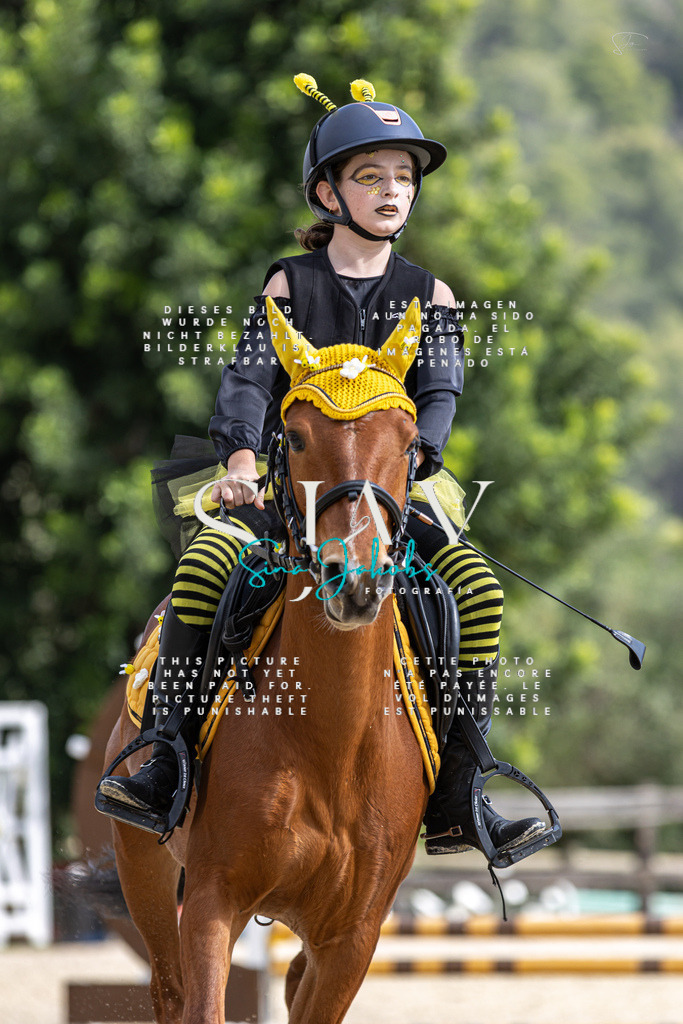 IMG_2216 | s-jay-photography - Realisiert mit Pictrs.com