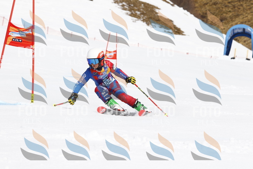 _U3G4369 | holidayphoto