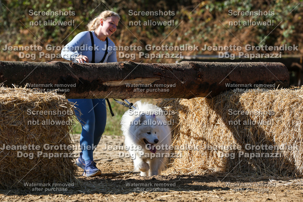 Dog Paparazzi - Strongdog 10-25-2958 | Dog Paparazzi Jeanette Grottendiek Fotografie & Videografie - Realisiert mit Pictrs.com