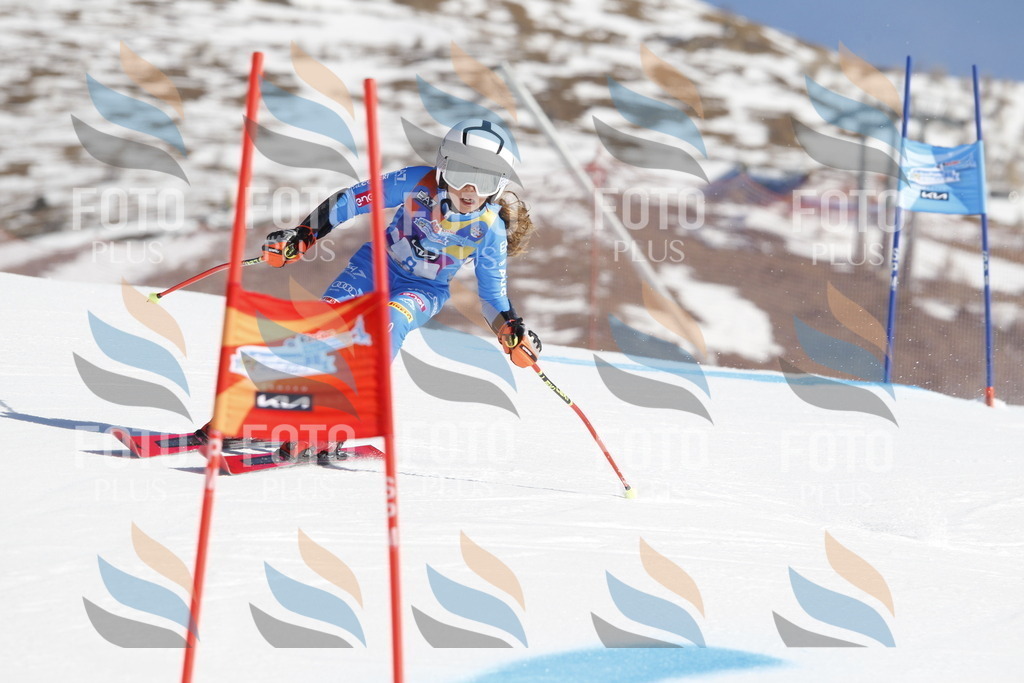 _U3G8630 | holidayphoto