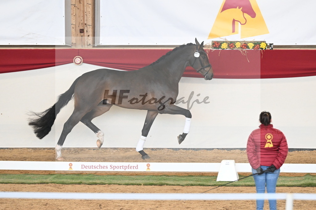 Kat.-Nr. 88 v. Zackerey_Rakelbusch_3261311 | hf-fotografie - Realisiert mit Pictrs.com