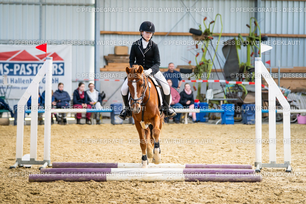 DSC02173 | Pferdegrafie