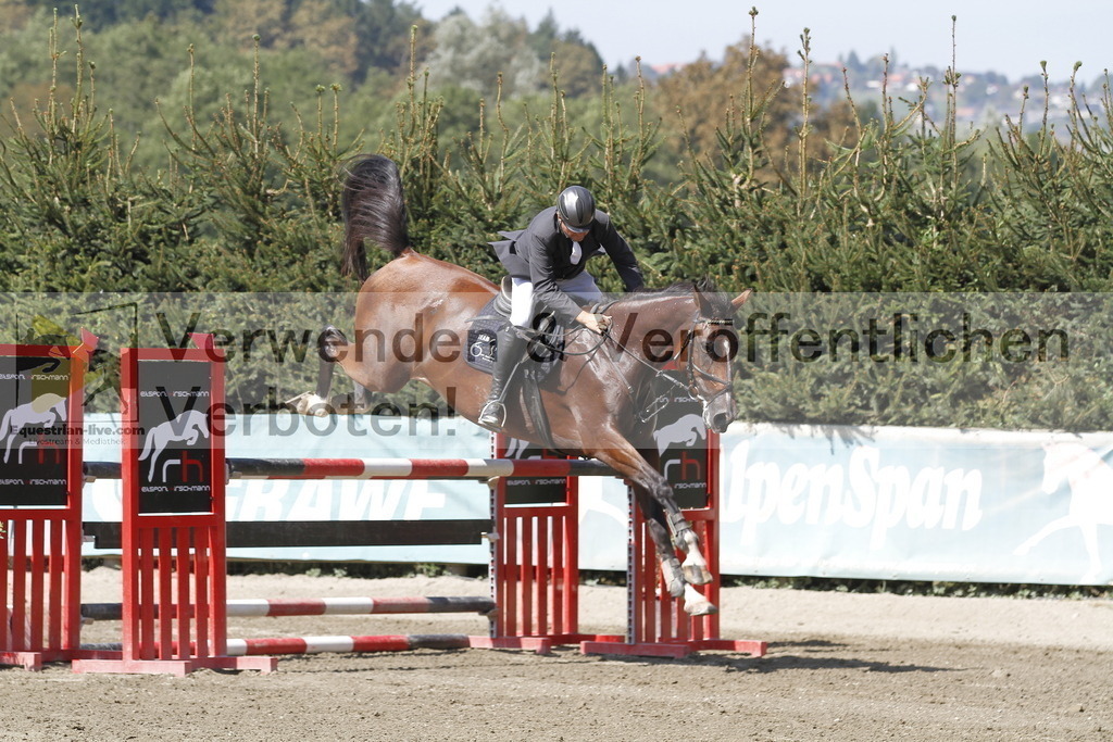 _MG_6354 | equestrian-live-com