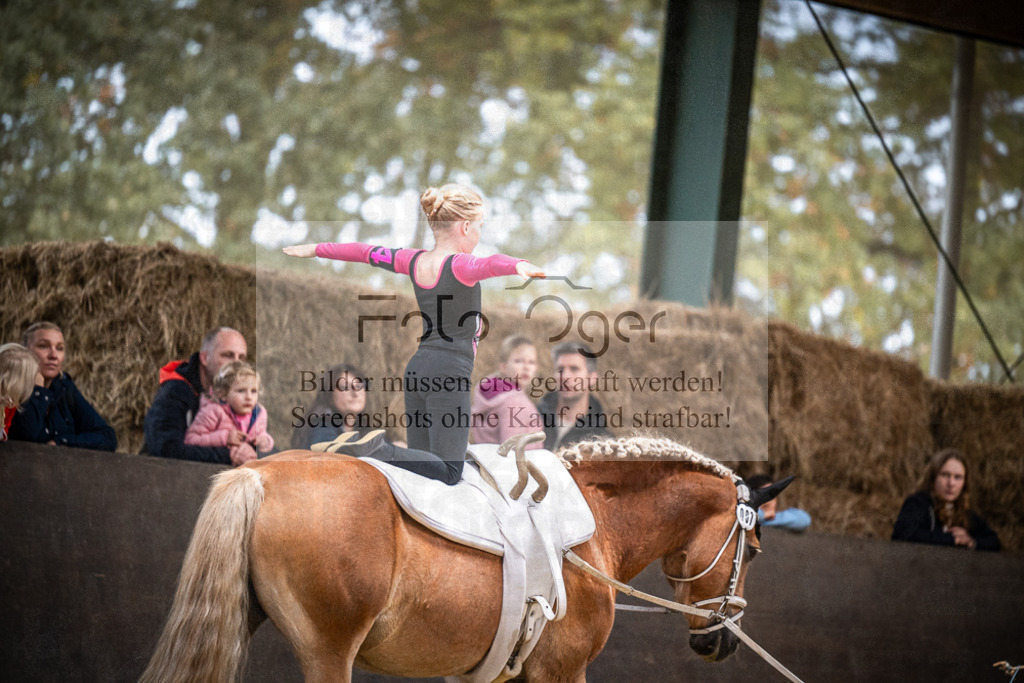 DOS_0104 | Entdecke hochwertige Reitturnierfotos von Foto Oger. Professionell, emotional und authentisch – jetzt Lieblingsmomente im Shop bestellen.Deutschlandweite Turnierfotografie. - Realisiert mit Pictrs.com