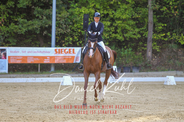 DKP41588 | Turniersportfotografie; Pferdefotografie; Dressurfotografie