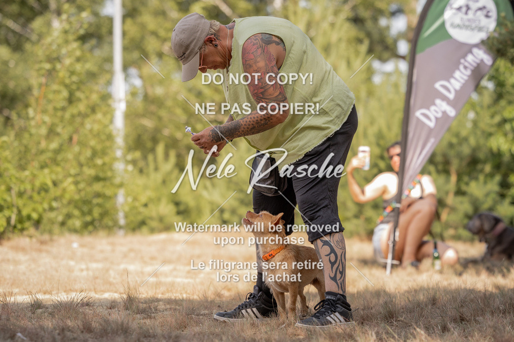 nelerasche_soDD2_67 | nelerasche