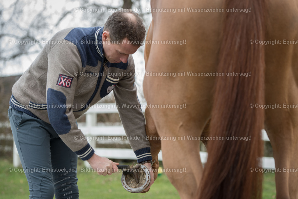 20160226_Ahlmann_0044 | equistock