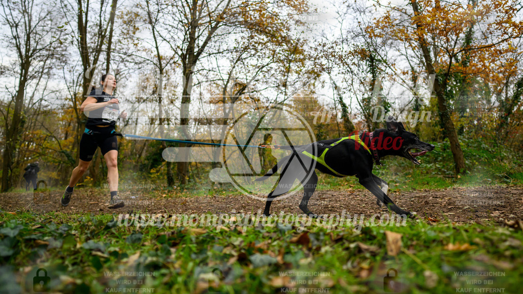 MompixPhotography_Bischwiller24_DI_CoursedeRelais-90 | PayLife