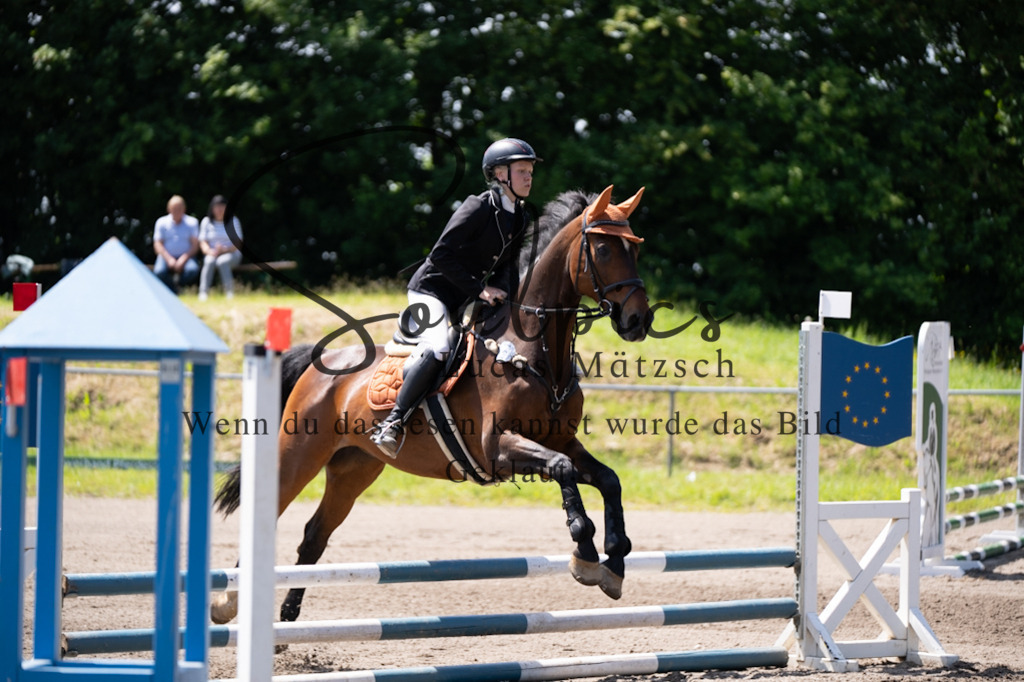 A7V04389 | Pferdefotograf