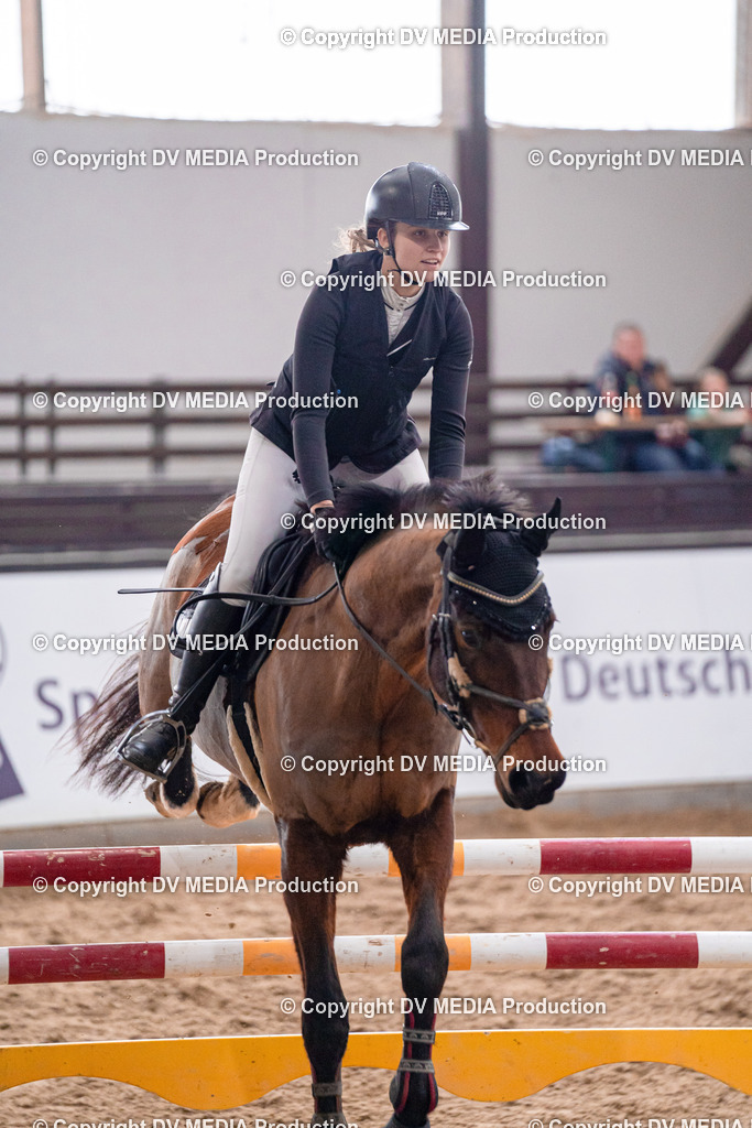 Kranichstein Tag 3-779 | dv-media-shop - Realisiert mit Pictrs.com