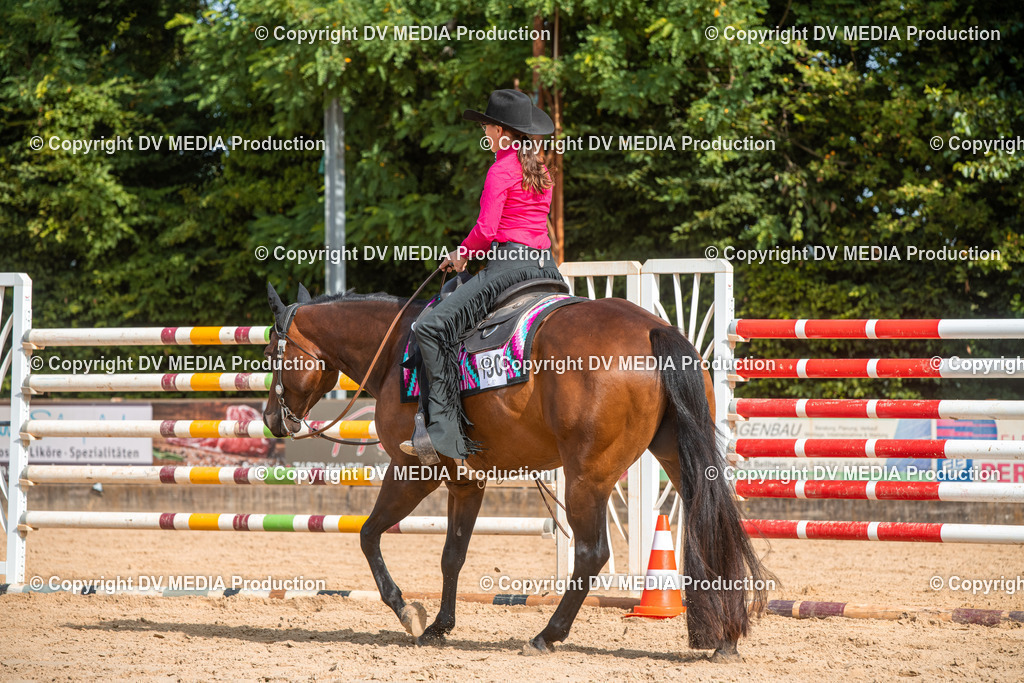 EWP_5799 | dv-media-shop - Realisiert mit Pictrs.com