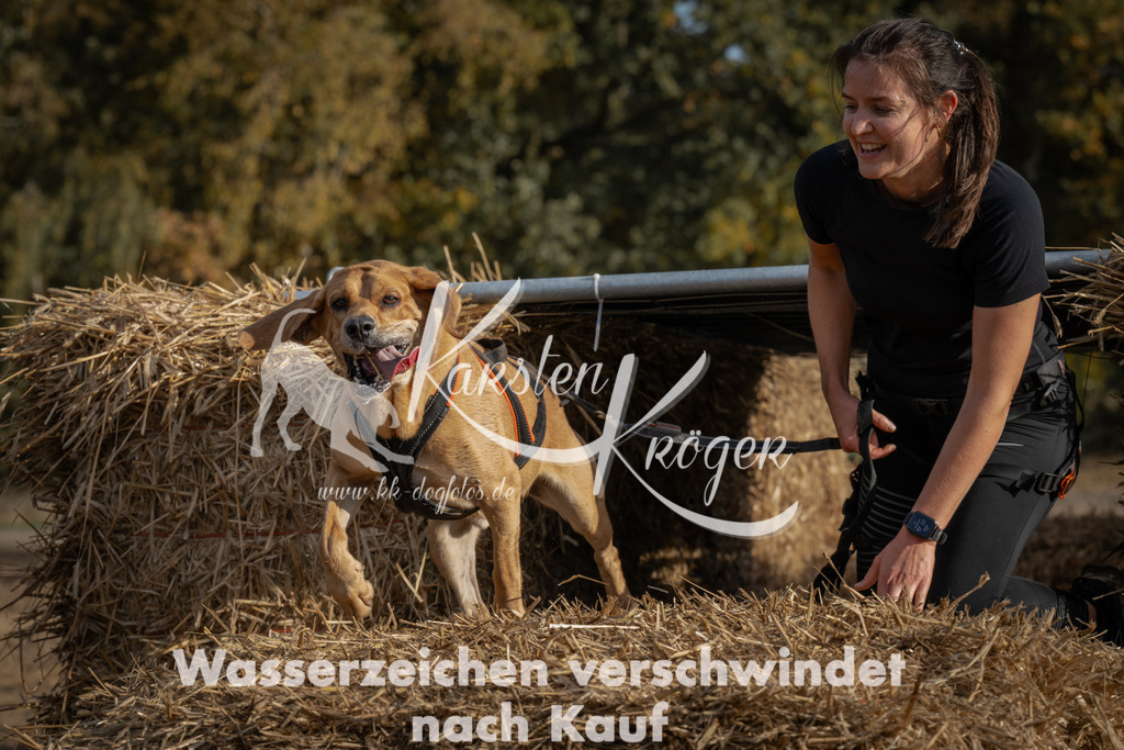 1032_ZZ98669 | kk-dogfotos