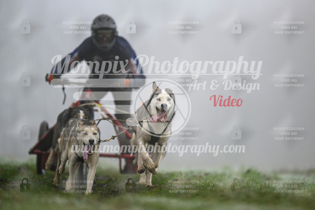 MompixPhotography_CDF2023_FFST_Di_Kart-21 | PayLife