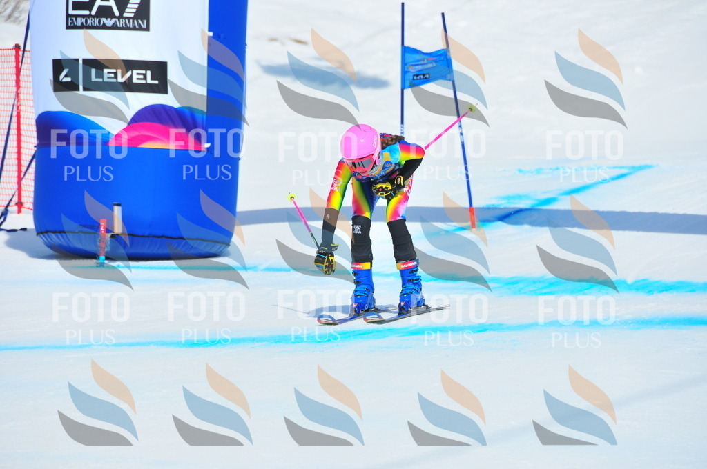 DSC_5276 | holidayphoto