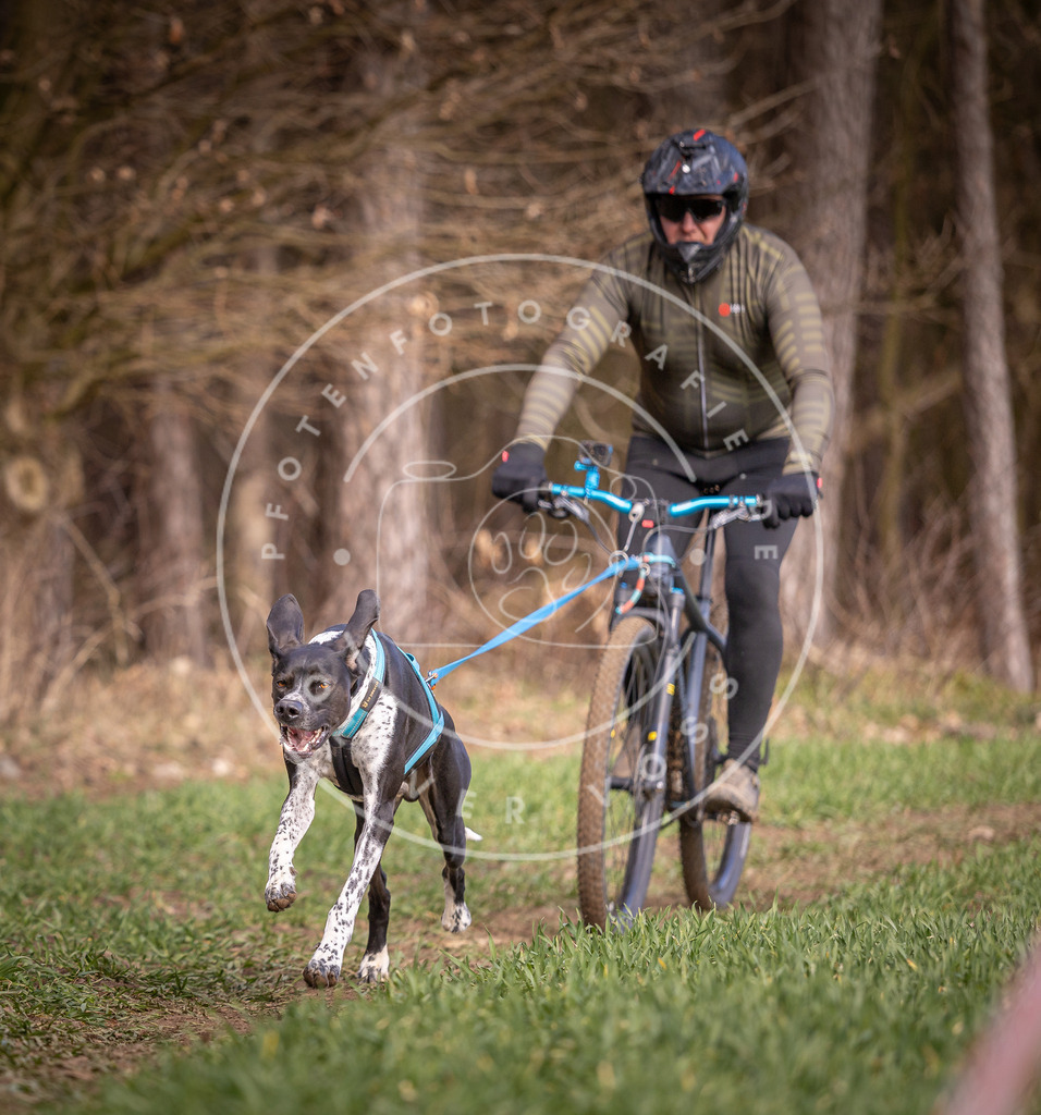 DV3A6140 | Hundefotografie, Tierfotograf, Pfotenfotografie, Fotoshooting Hund, Hunde Portrait, Hundesport, Hundeportraits, Heideshooting, Hunde, Sportfotograf, Hundefotograf, Turnierhundsport, THS,  - Realisiert mit Pictrs.com