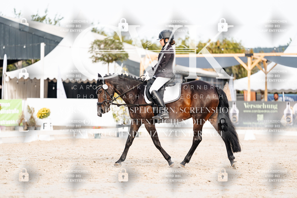 CK904600 | Turnierfotografie Pferdefotografie Trier Rheinland-Pfalz Pferdesport Reitsport Tierfotografie Sportfotografie Pferdevideo Pferdevideografie Equestrianvideography equestrianphotography  - Realisiert mit Pictrs.com