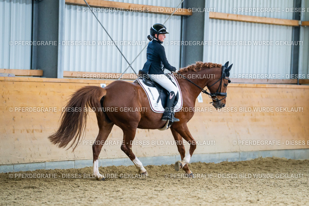 DSC05254 | Pferdegrafie