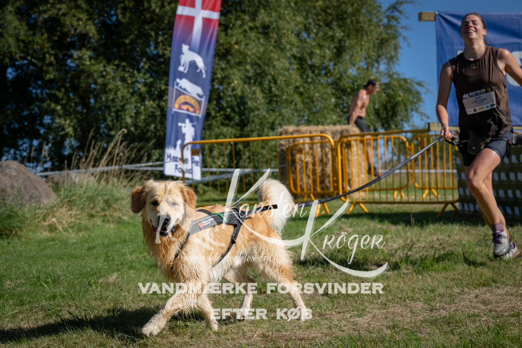 1018_ZZ98136 | kk-dogfotos