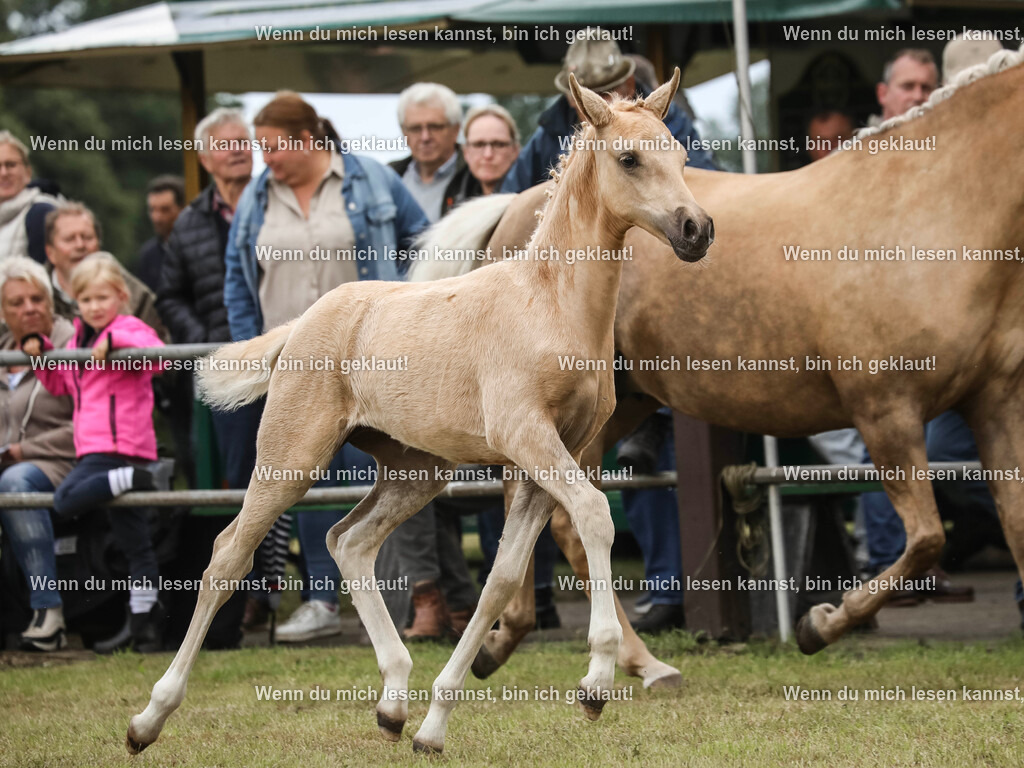 598A1630 | photographylinaismer - Realisiert mit Pictrs.com