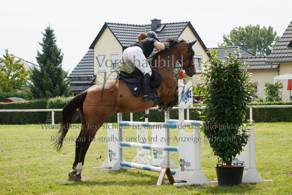 IMG_3251 | P. Berger Fotografie - Realisiert mit Pictrs.com