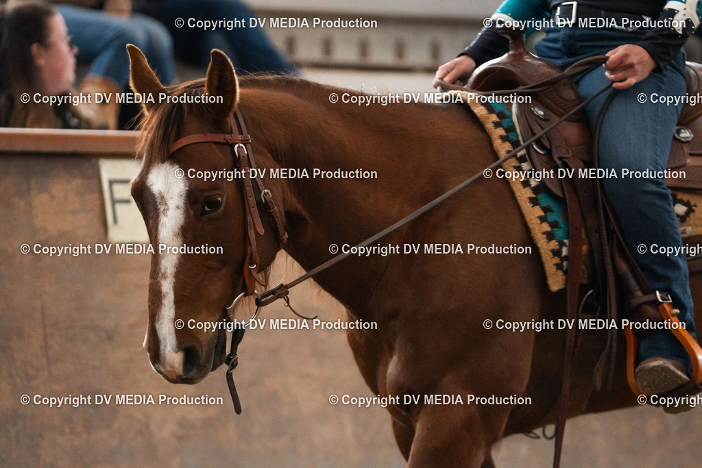 Heiligenwald Tag 1-1730 | dv-media-shop - Realisiert mit Pictrs.com