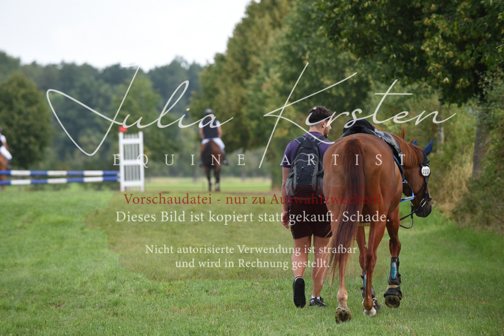 DSC_8595 | Pferde- und Turnierfotografie in Westsachsen. Pferdeportraits, Auftragszeichnungen und intuitive Kunst.