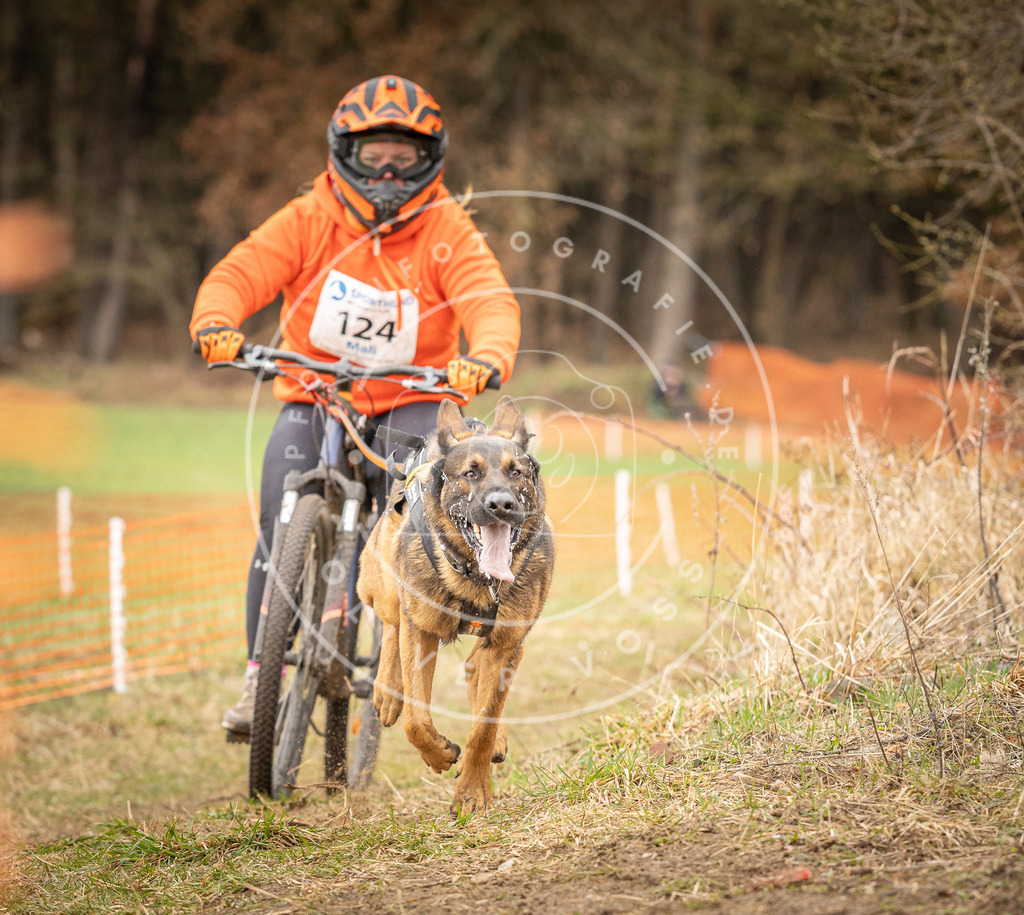 DV3A1149 | Hundefotografie, Tierfotograf, Pfotenfotografie, Fotoshooting Hund, Hunde Portrait, Hundesport, Hundeportraits, Heideshooting, Hunde, Sportfotograf, Hundefotograf, Turnierhundsport, THS,  - Realisiert mit Pictrs.com