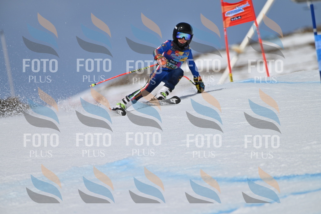 BGV_6973 | holidayphoto