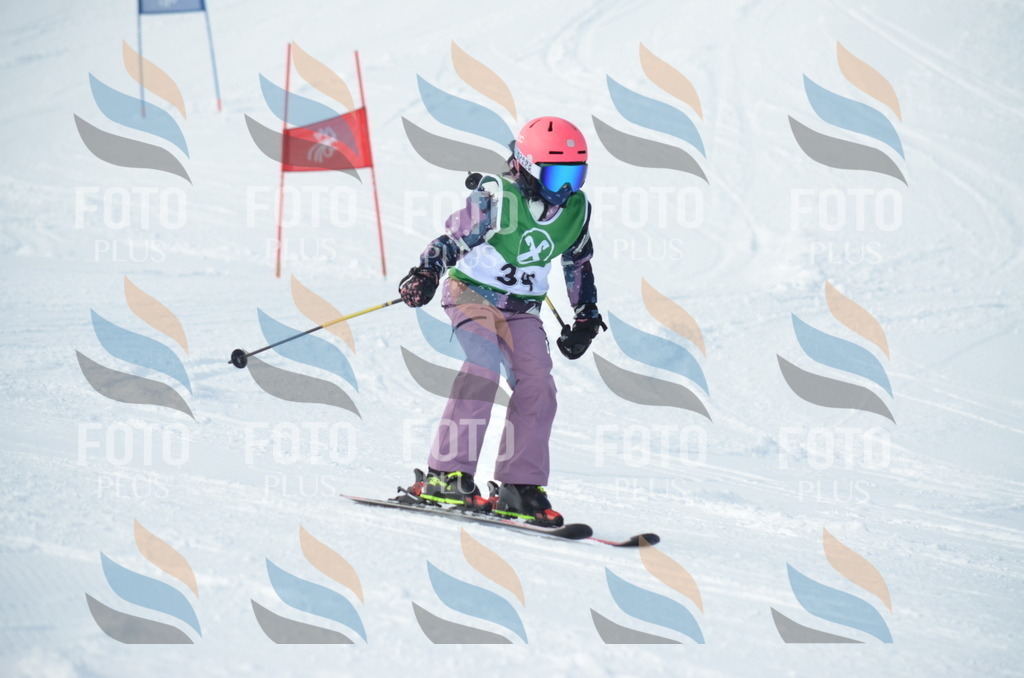 D8667 | holidayphoto