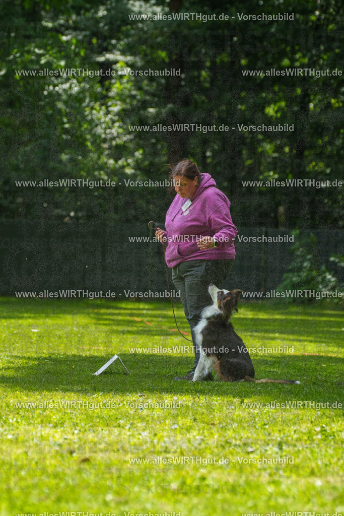 @allesWIRTHgut_Tierfotografie - www.allesWIRTHgut.de - 7R504953 | Professionelle Tierfotografie in Mönchengladbach von Daniel Wirth (allesWIRTHgut). Liebevolle & natürliche Bilder von Hunden & Katzen für unvergessliche Erinnerungen.