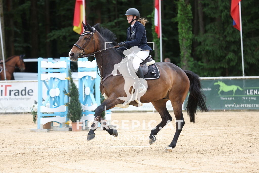 0P6A7064 | Willkommen bei Brunnmayr - Design & Fotografie – Ihrem Spezialisten für Reitturniere und Pferdeveranstaltungen in Oberösterreich, Salzburg und Bayern! Seit über 17 Jahren sind wir leidenschaftlich dabei.