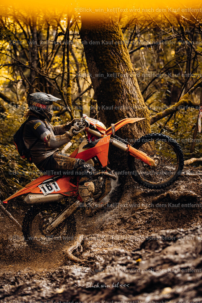 E68A6200 | blick_win_kel