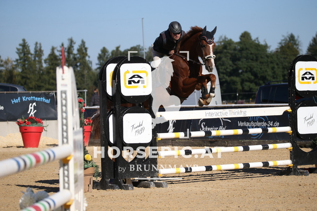 DL2Q3311 | Willkommen bei Brunnmayr - Design & Fotografie – Ihrem Spezialisten für Reitturniere und Pferdeveranstaltungen in Oberösterreich, Salzburg und Bayern! Seit über 17 Jahren sind wir leidenschaftlich dabei.