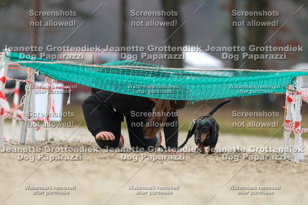 Dog Paparazzi - Strongdog North Mrz26-4541 | Dog Paparazzi Jeanette Grottendiek Fotografie & Videografie - Realisiert mit Pictrs.com