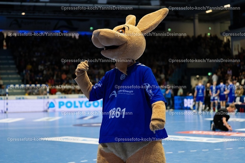 xYDR22022501010 | 22.02.2025, xydrx, Handball, 1.HBL, VFL Gummersbach - Rhein-Neckar-Löwen, Schwalbe-Arena: Maskottchen heizt dem Publikum ein