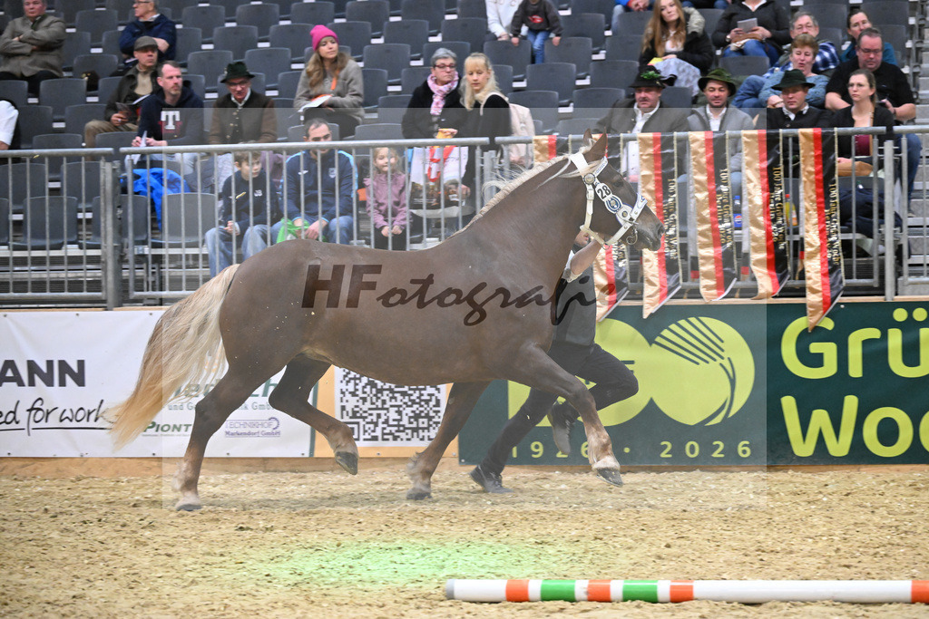 Kat-Nr. 28 Harmonie v. Severin_Vrech_1260422 | hf-fotografie - Realisiert mit Pictrs.com