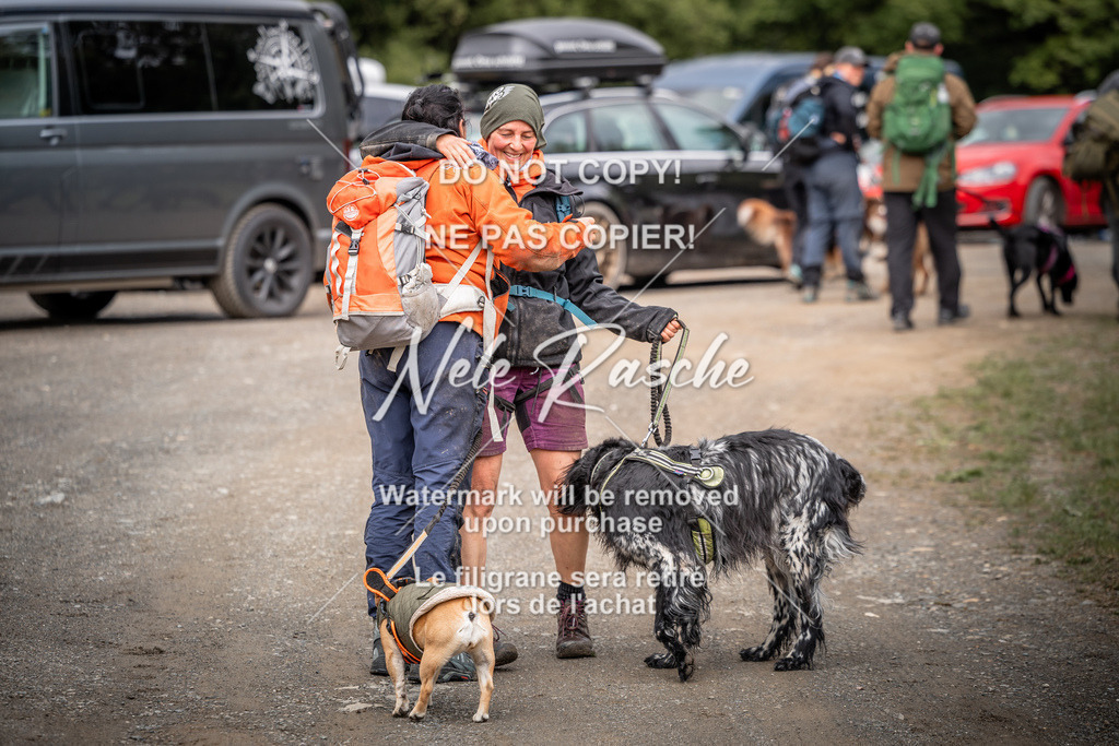 nelerasche_SoZieleinlauf_214 | nelerasche