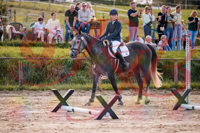 2026_10_03_Siefer-Hof_144937_Z81_27844861 | Professionelle Reitsport-, Turnier- und Eventfotografie von Robert Broda. Galerien mit ausgewählten und bearbeiteten Bildern direkt online ansehen und bestellen.