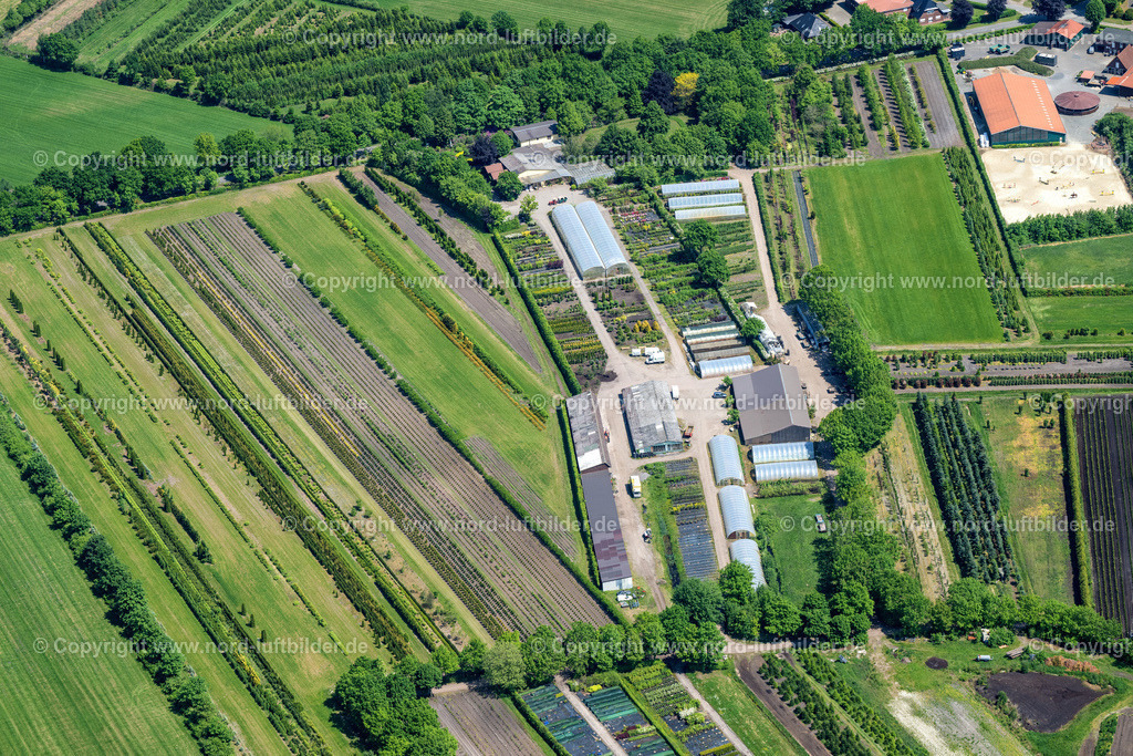 Oldendorf_Tannenhof_Uhlendorf_Gbr_ELS_7713280523 | OLDENDORF 28.05.2023 Baumreihen auf Feldern " Tannenhof " in Oldendorf im Bundesland Niedersachsen, Deutschland. // Row of trees on fields " Tannenhof " in Oldendorf in the state Lower Saxony, Germany. Foto: Martin Elsen
