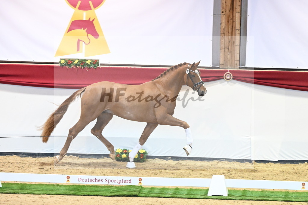 Kat.-Nr. 38 v. De Sandro_Schmid_2240405 | hf-fotografie - Realisiert mit Pictrs.com