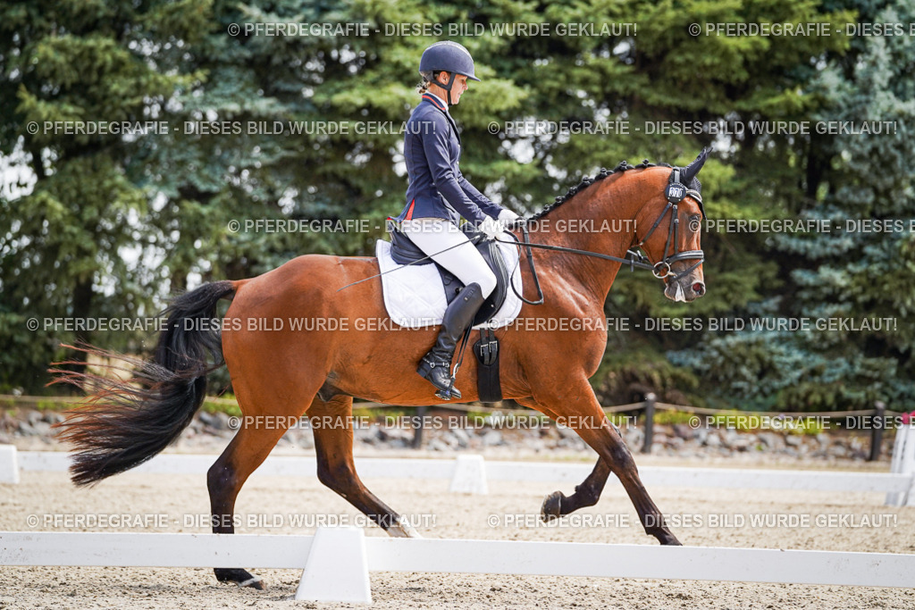 DSC00264 | Pferdegrafie