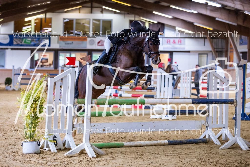 Sth-A-Springen-064 | MomenTaufnahmen Pferdesportfotos